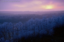 Winter in the Bakony Mountains