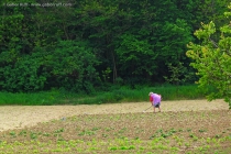 Gardener