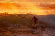 Stand Up Paddle Boarding (SUP)