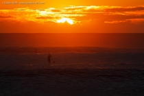 Stand Up Paddle Boarding (SUP)