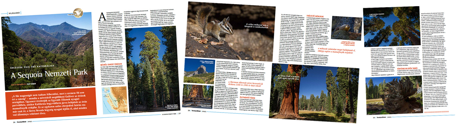 Article about Sequoia National Park in Természetbúvár