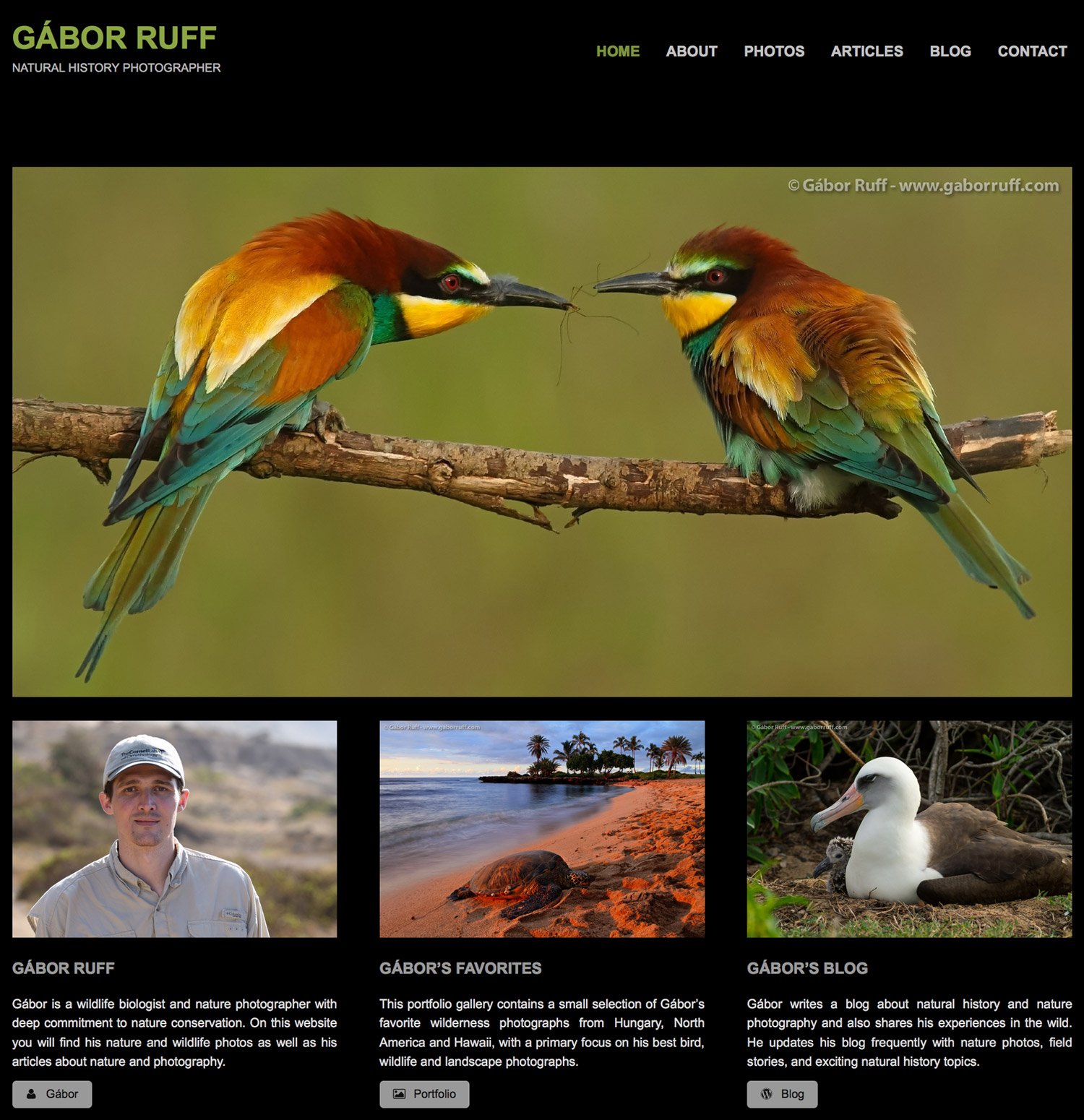 Gábor Ruff's website