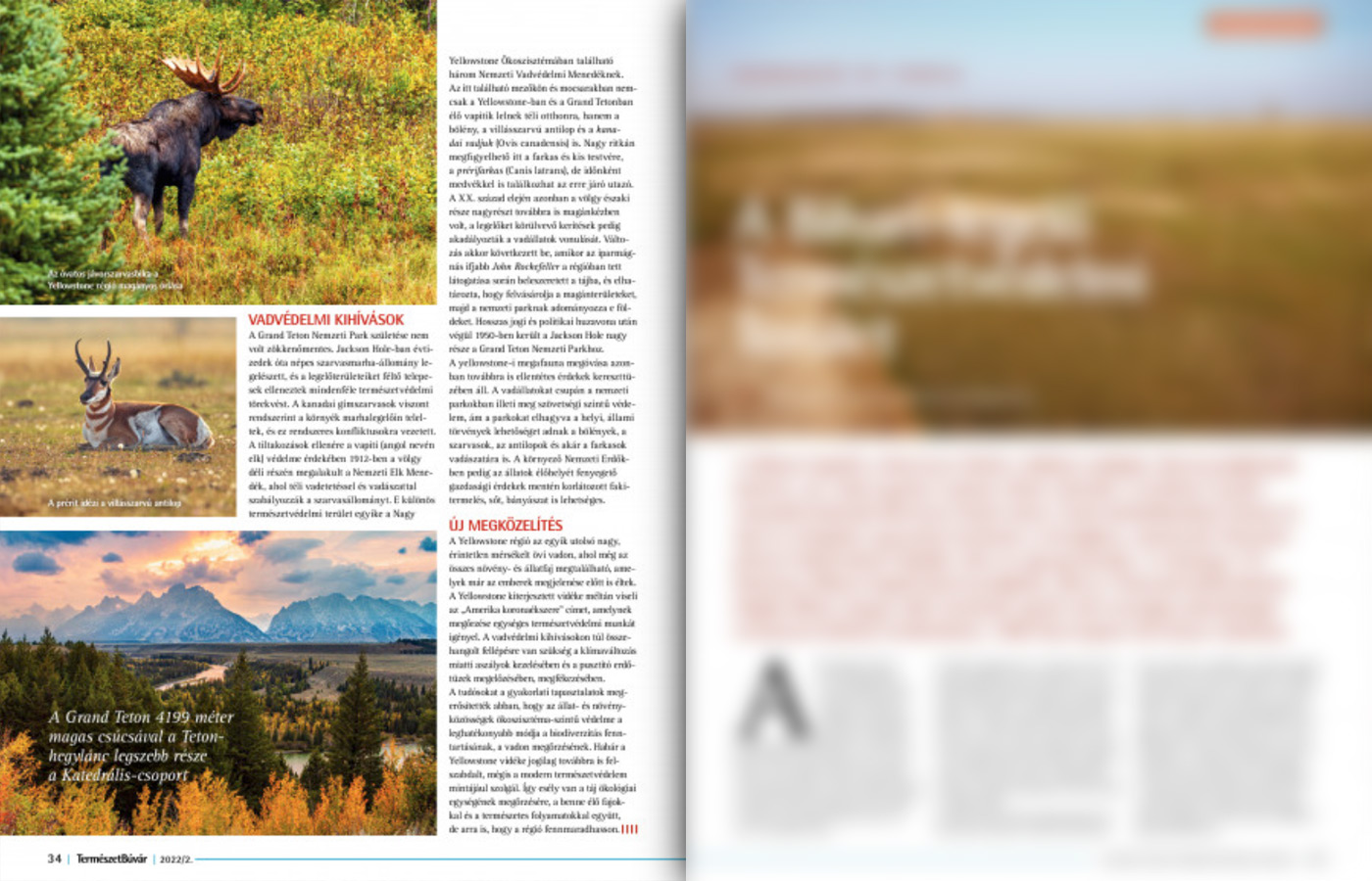 Greater Yellowstone Ecosystem article