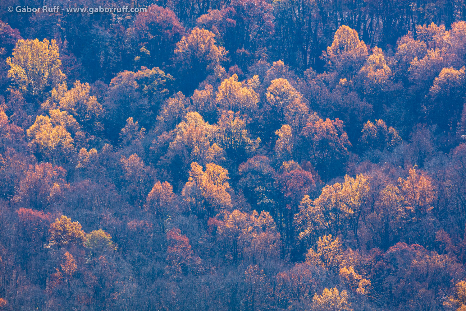 Shenandoah National Park