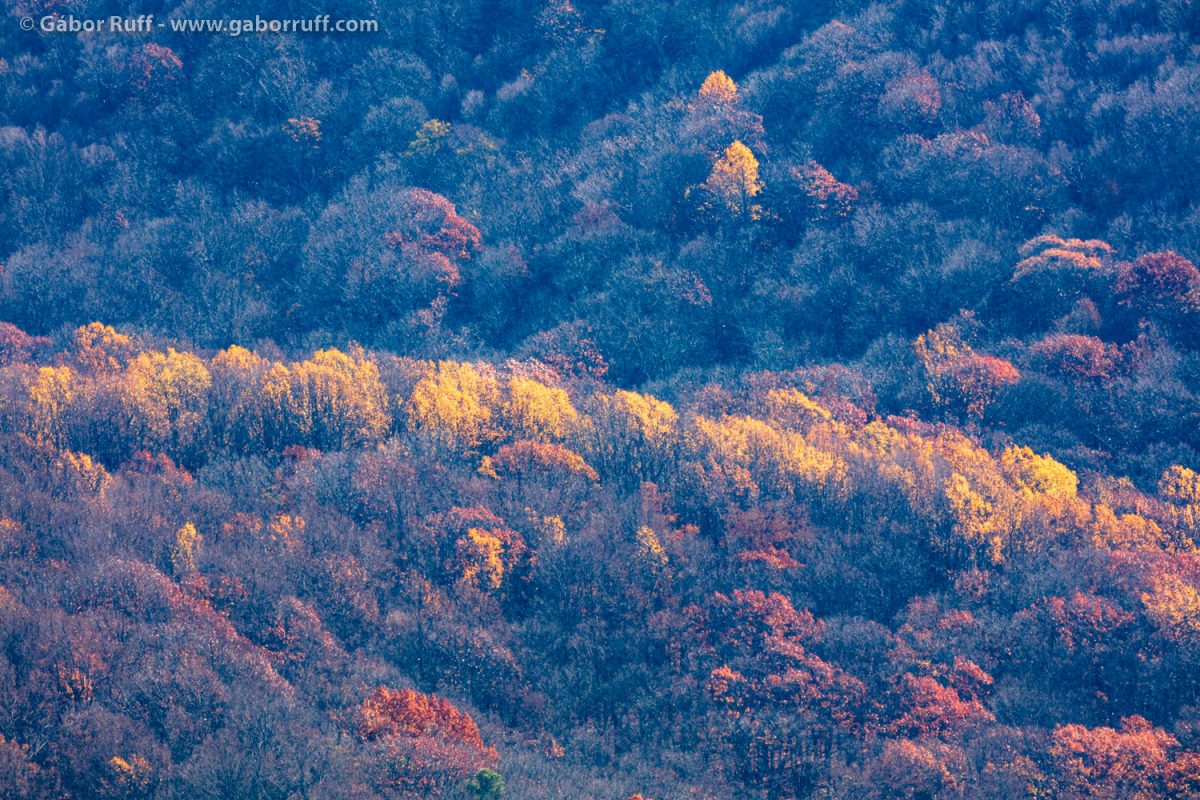 Shenandoah National Park