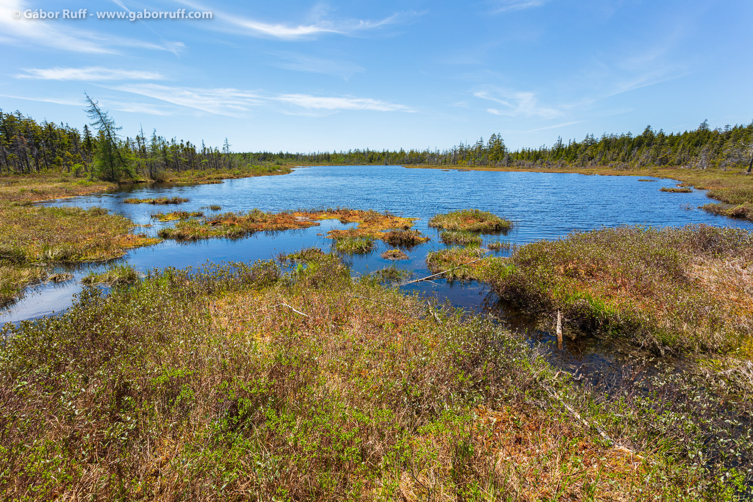 Fundy National Park