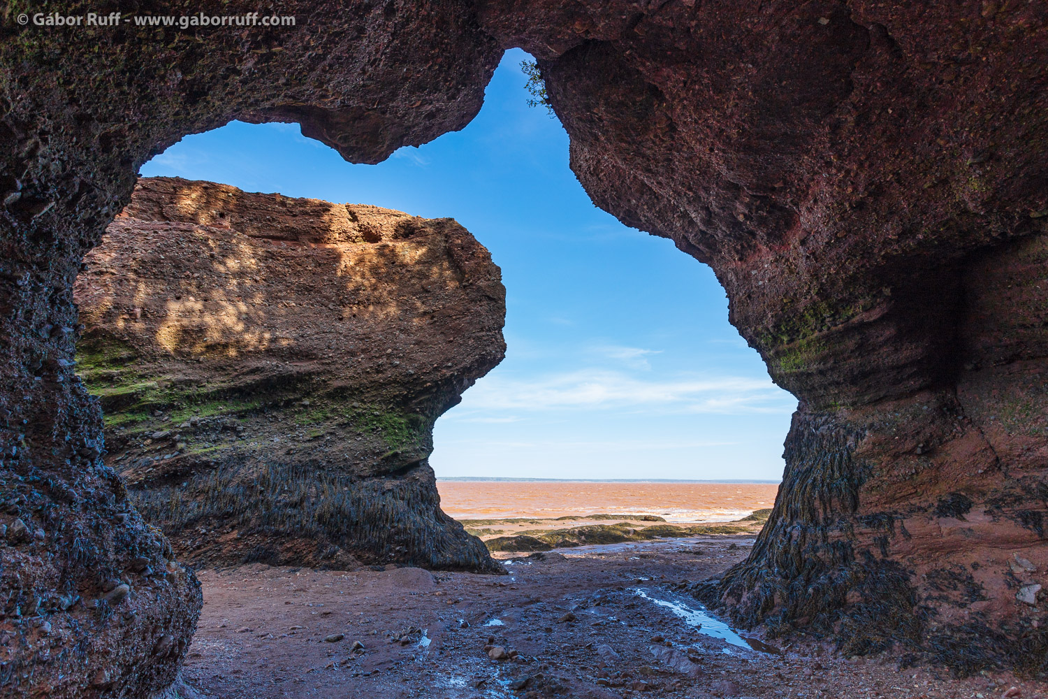 Hopewell Rocks Provincial Park