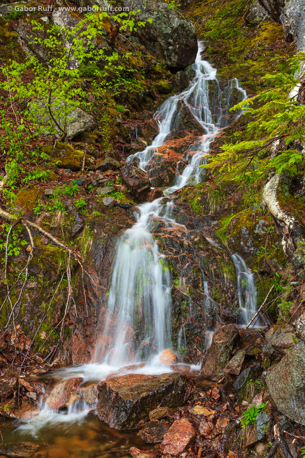 Cape Breton Highlands National Park