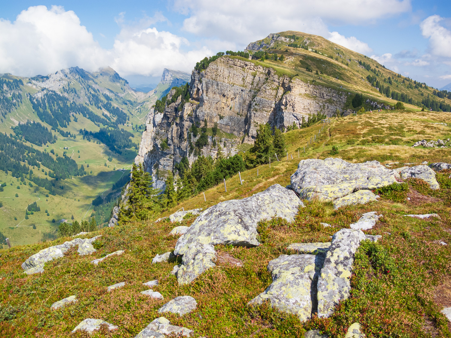 Niederhorn - Bernese Alps