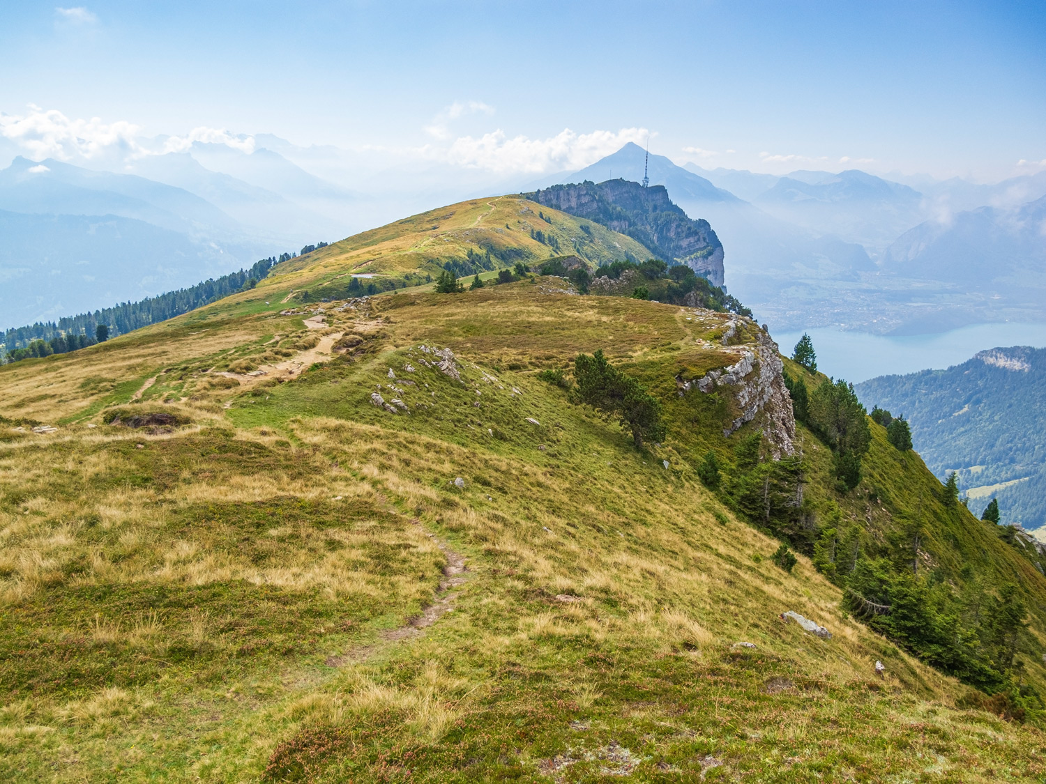 Niederhorn - Bernese Alps