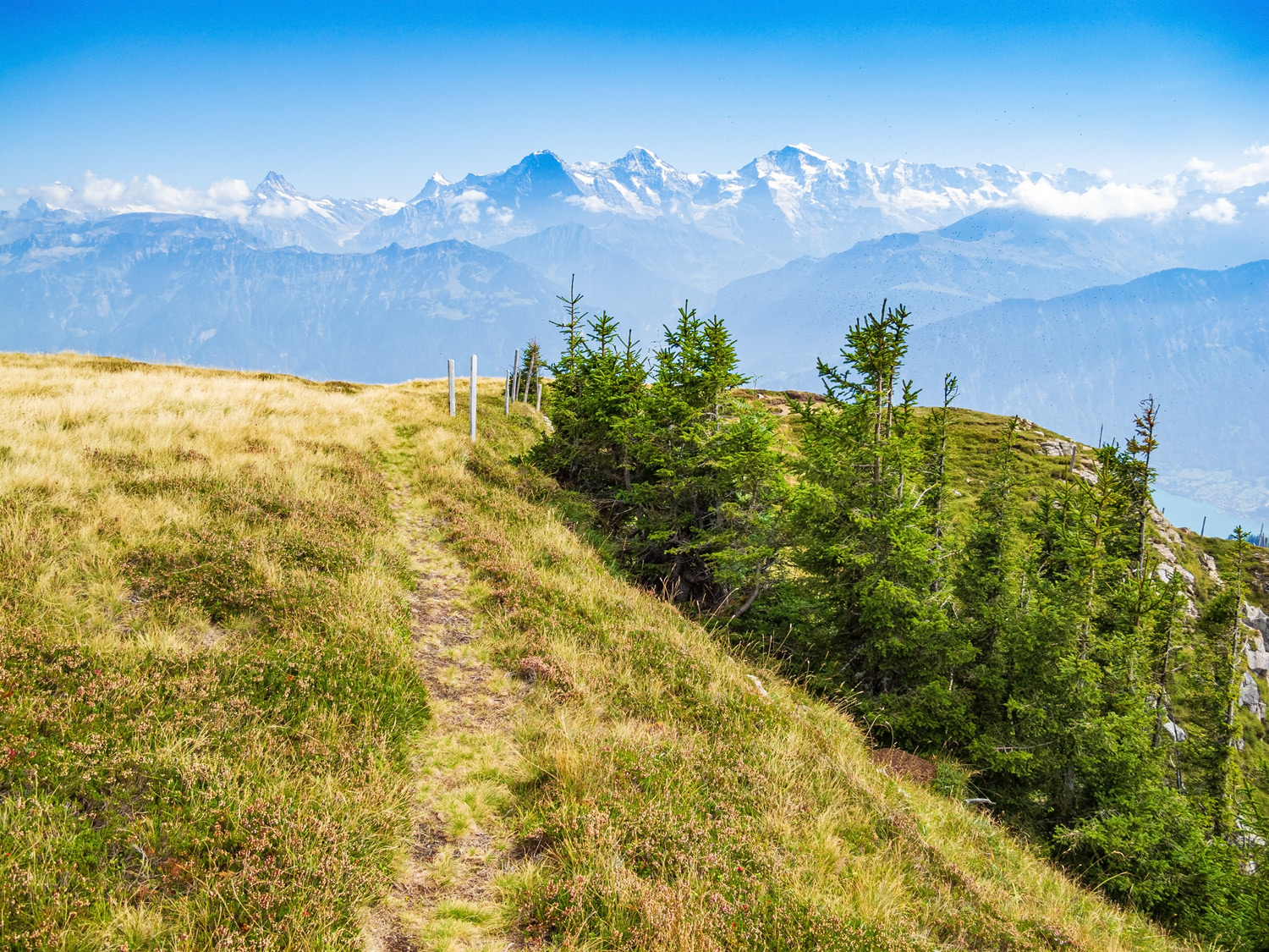 Niederhorn - Bernese Alps