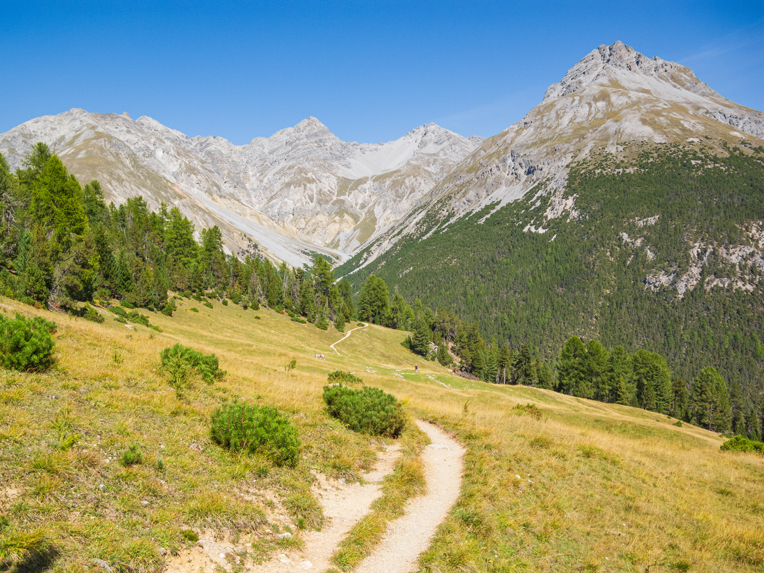 Swiss National Park