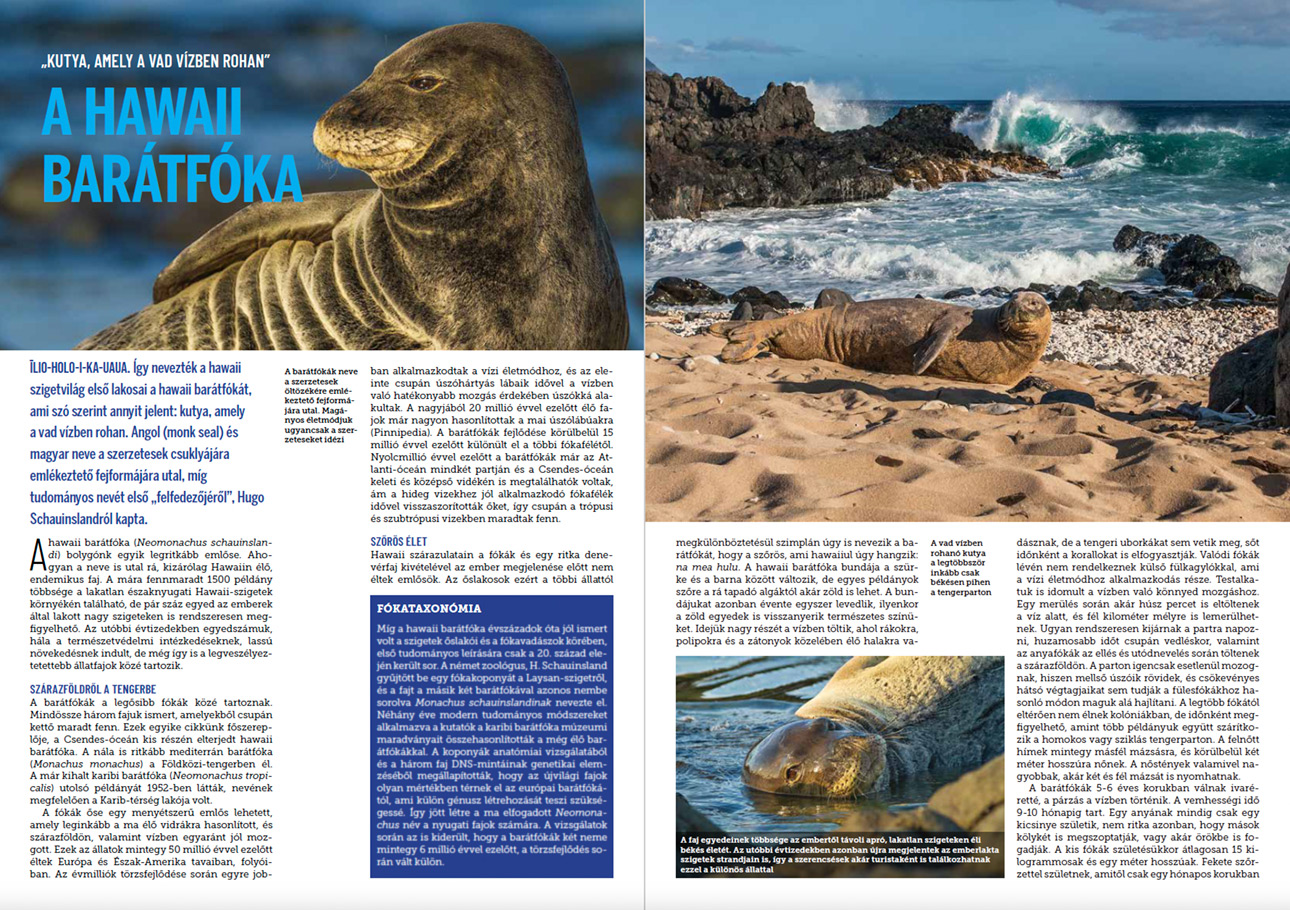 Article about monk seals