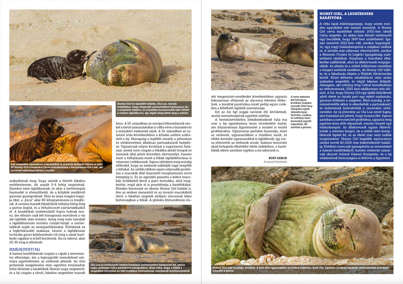 Article about monk seals