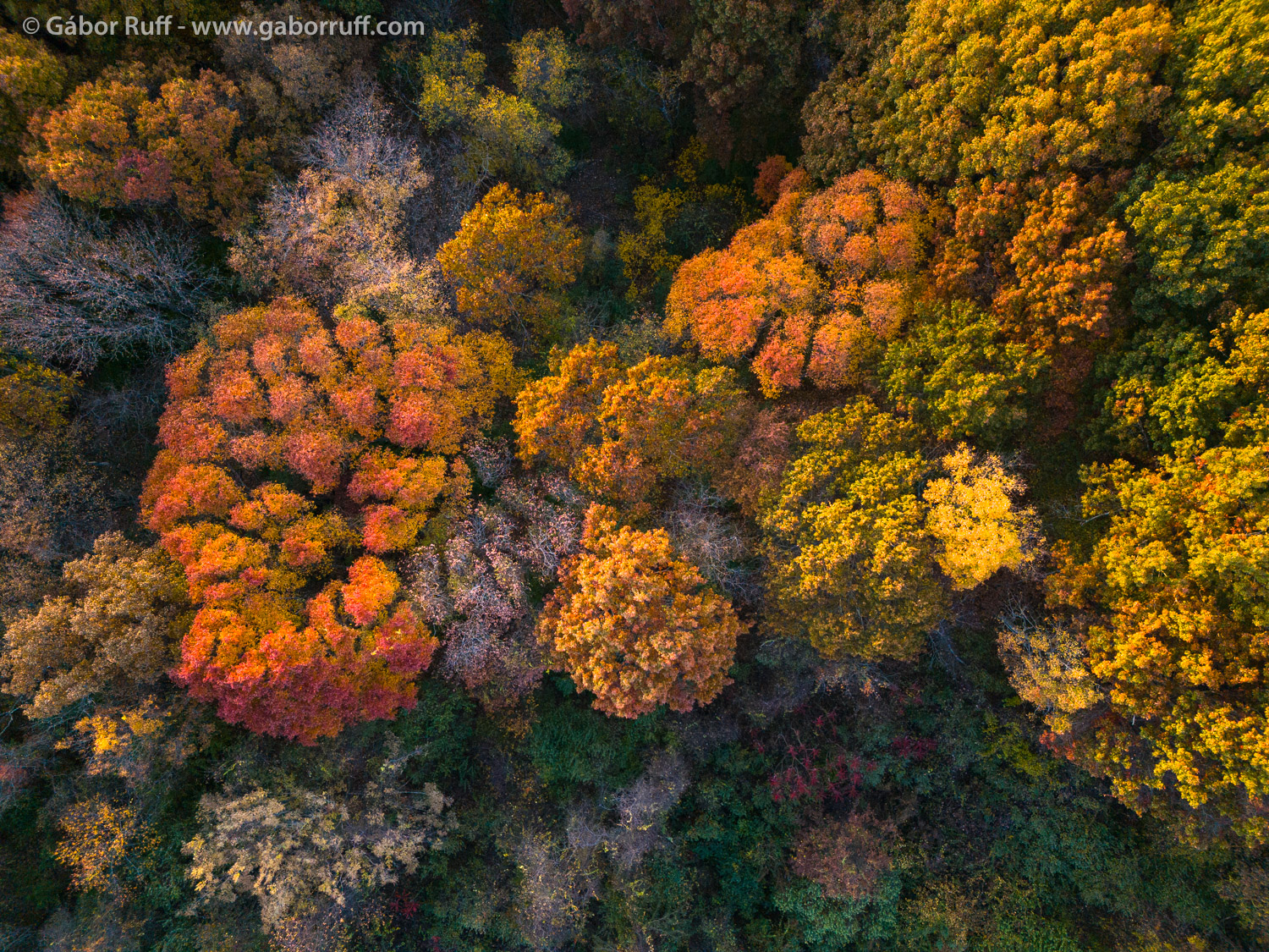 GRD_241027_0069_fall-colors-connecticut.jpg