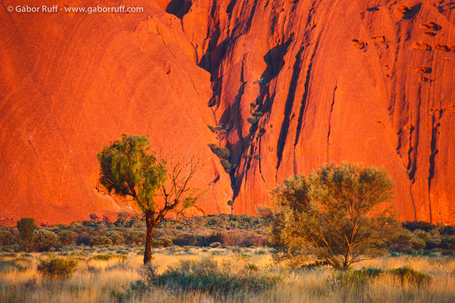 Uluru