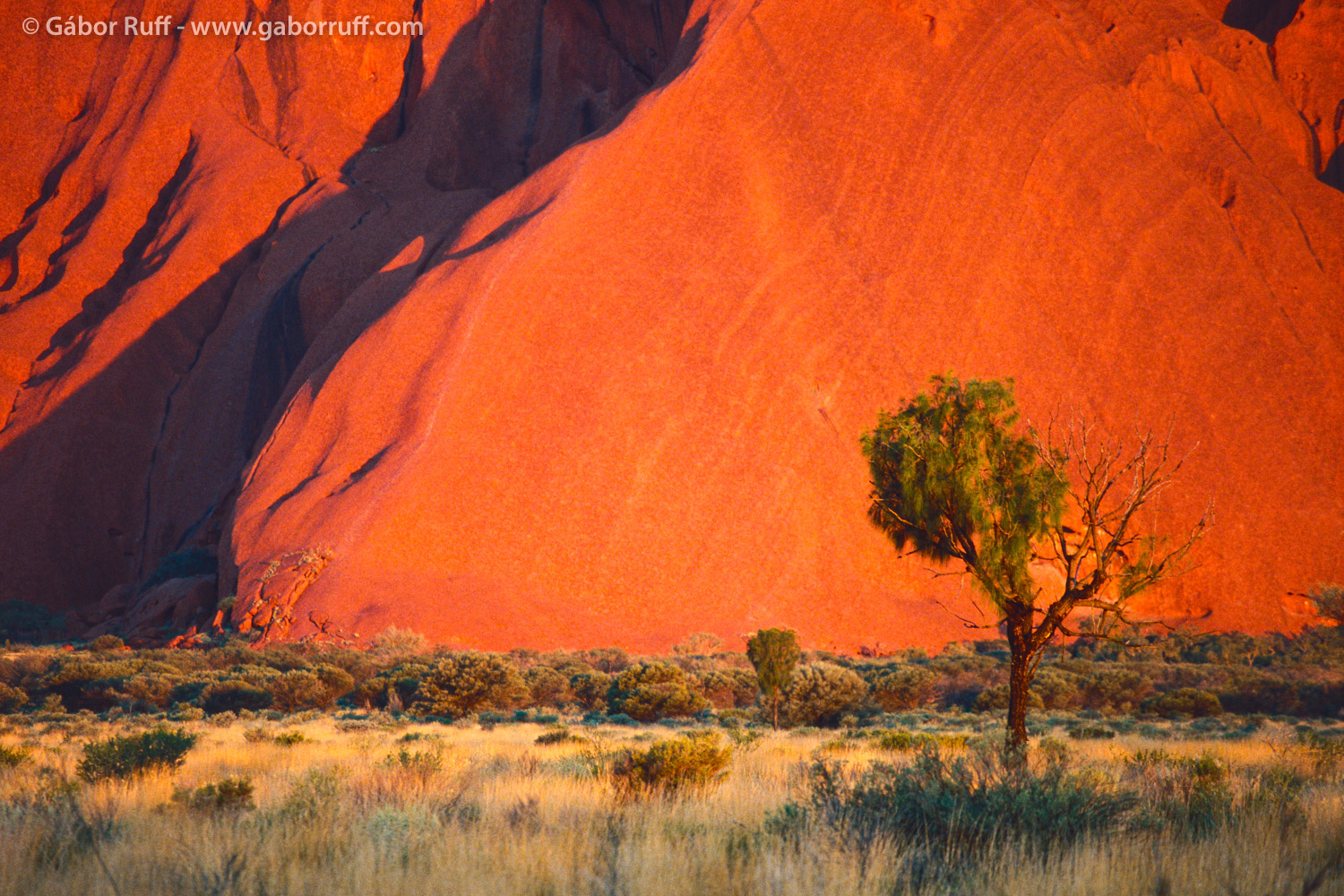 Uluru