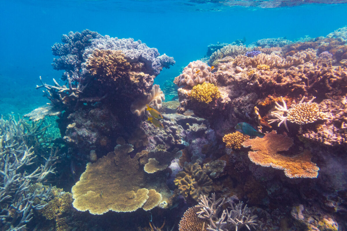 Great Barrier Reef