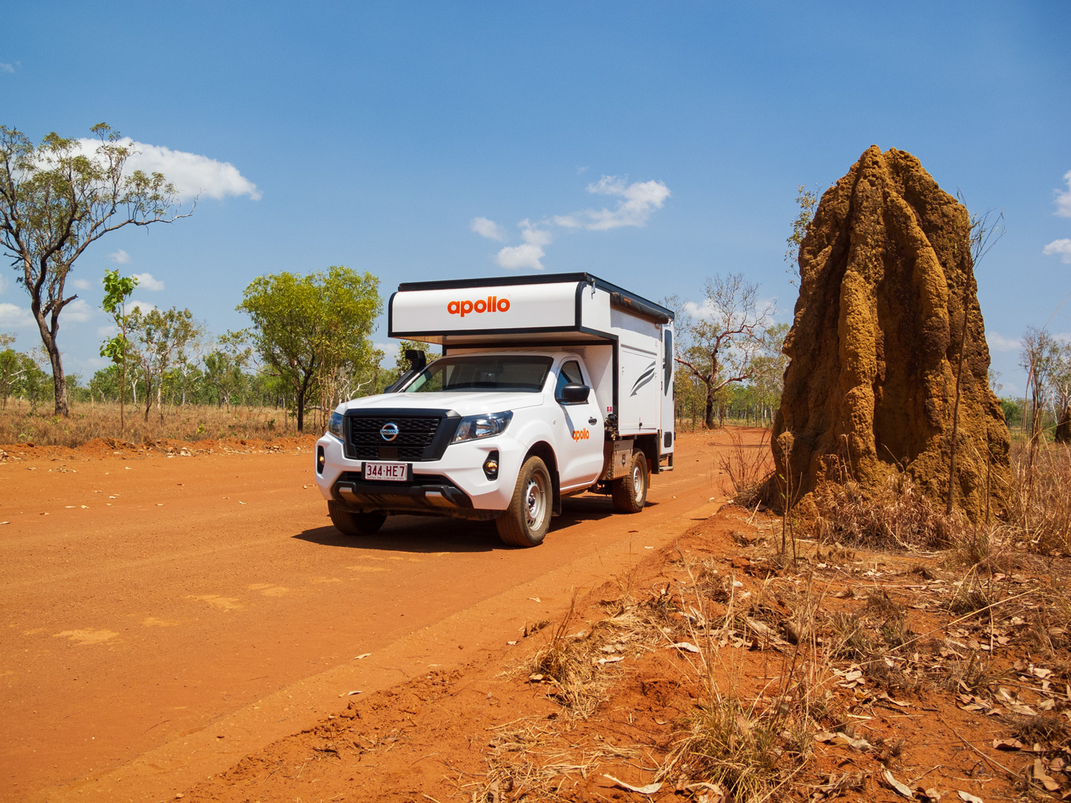 Termite Mound